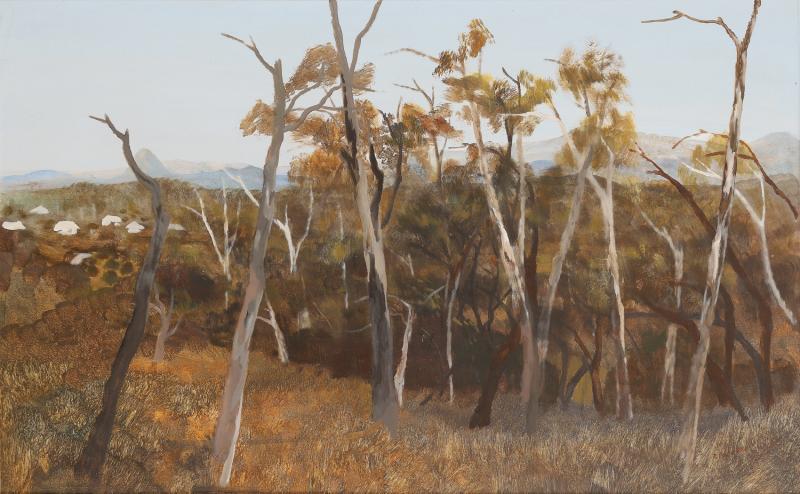 RAY CROOKE - Caloundra Landscape