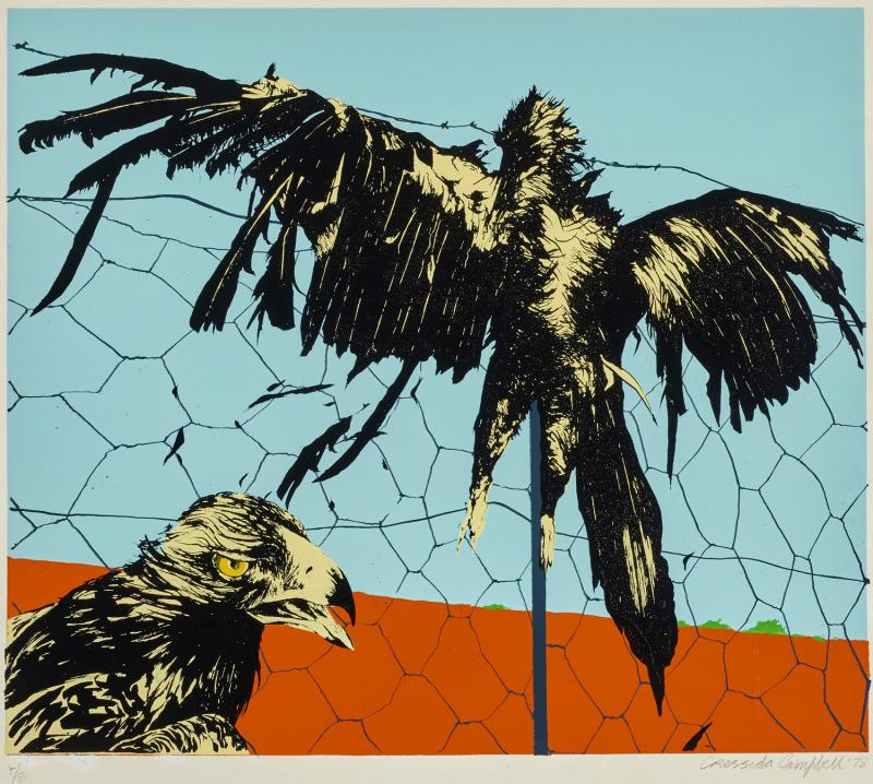 CRESSIDA CAMPBELL - Wedge-tailed Eagles