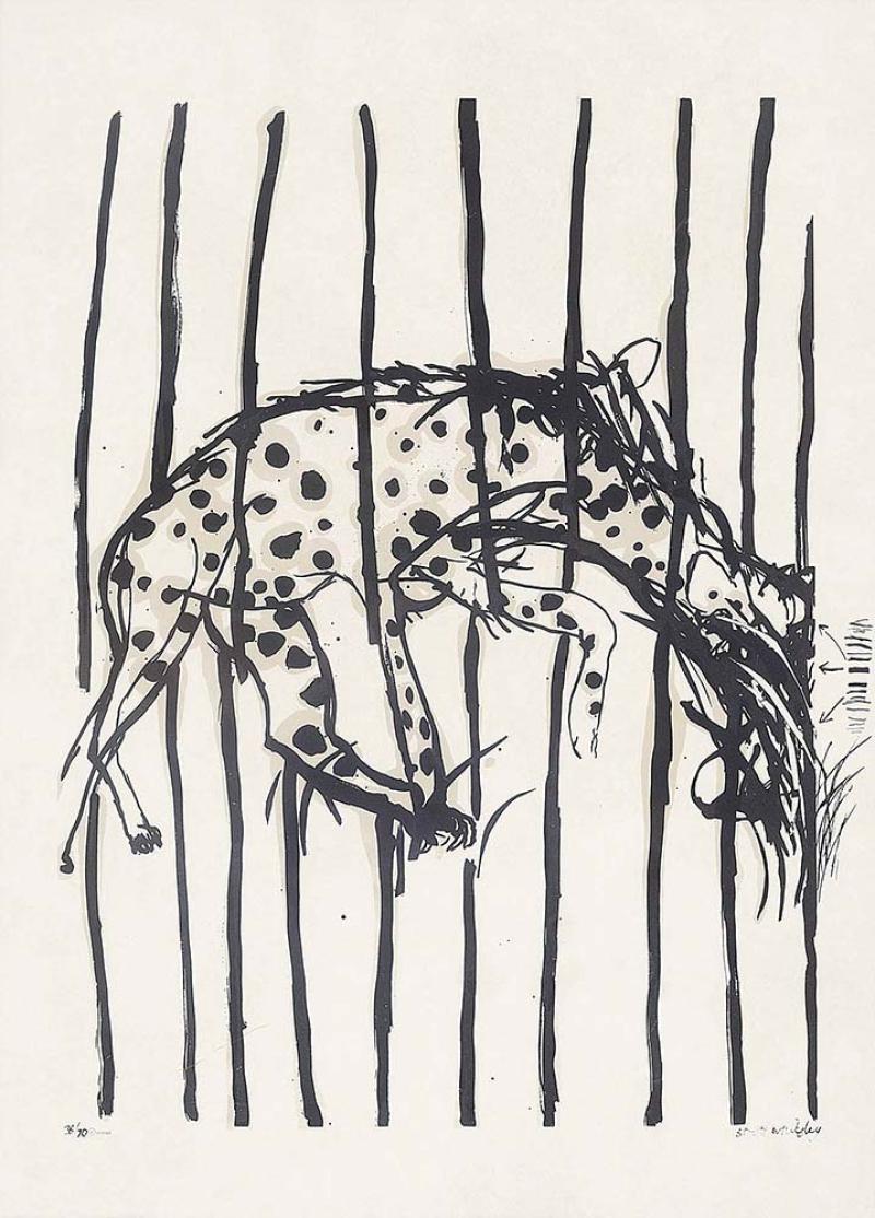 BRETT WHITELEY - Hyena (Regent's Park Zoo series)