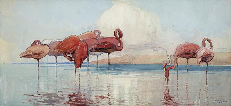 SYDNEY LONG - Flamingos