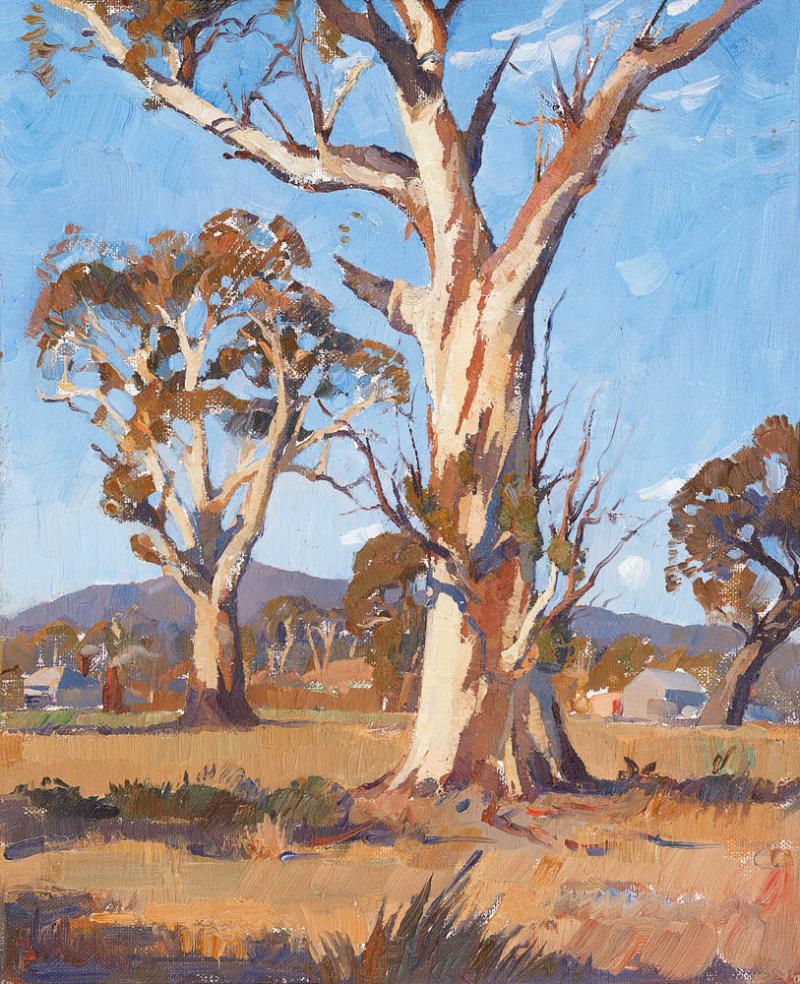 Horace Trenerry - Untitled (Gums)