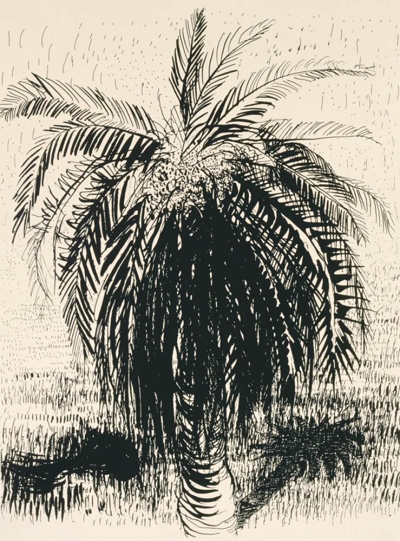 BRETT WHITELEY - Palm Tree 1