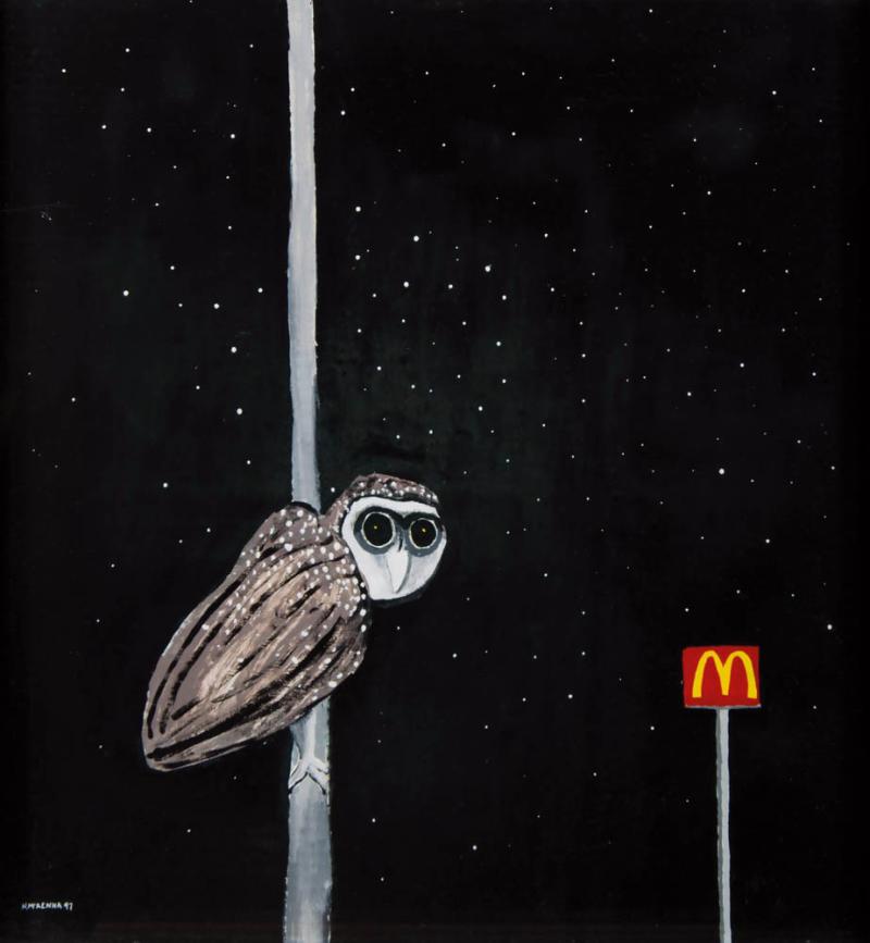 Noel Mckenna - Sooty Owl