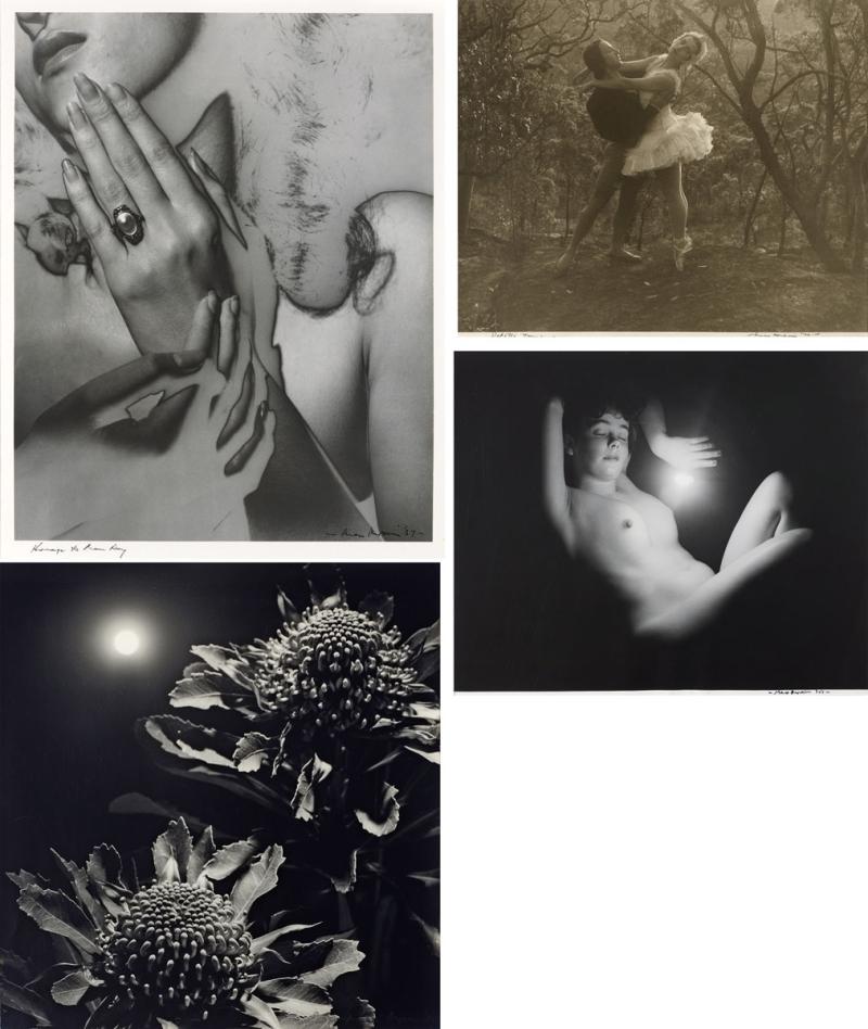Max Dupain - collection of four silver gelatin photographs