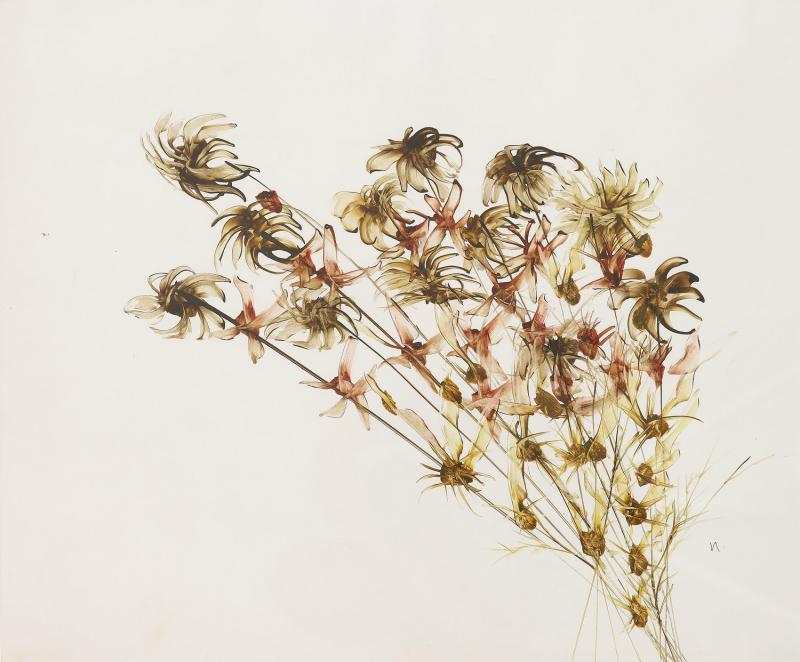 SIDNEY NOLAN - Bunch of Wildflowers