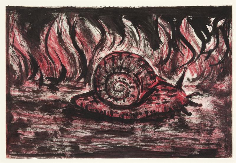 PETER BOOTH - Flames and Snail